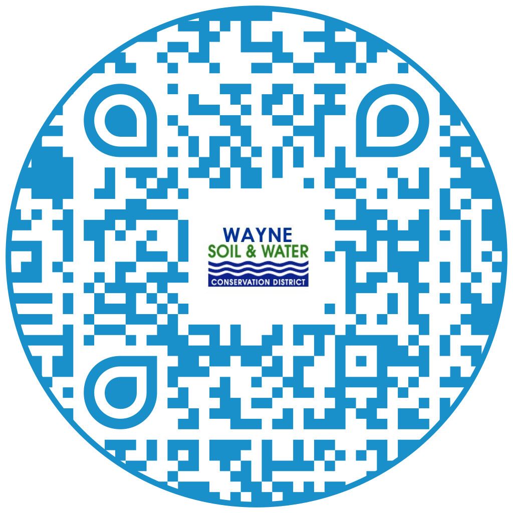 SWNewsletterQRCode.jpg