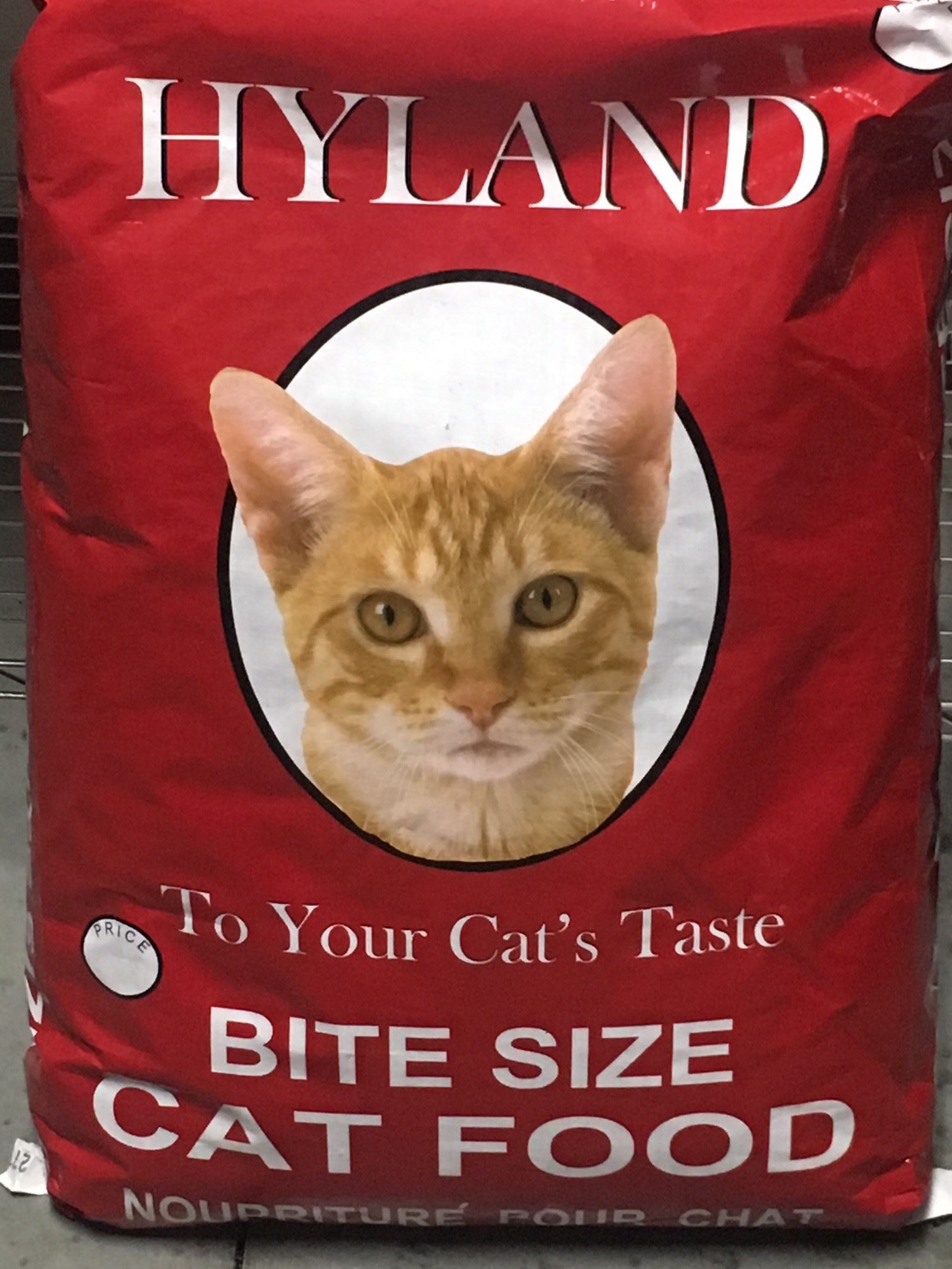 cat food