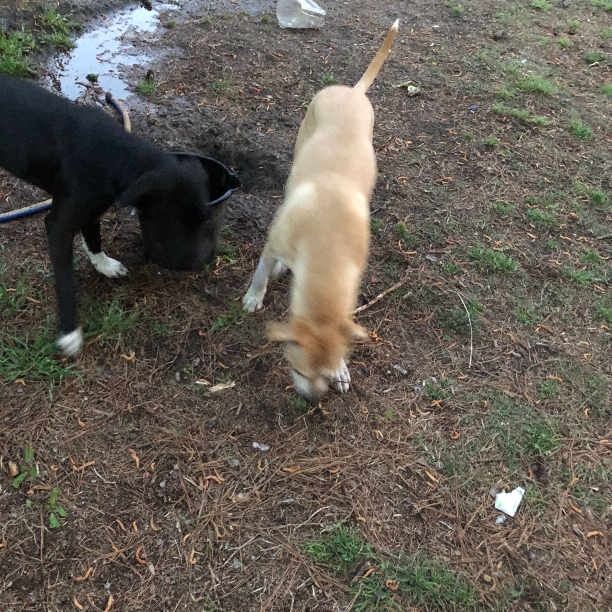 attachments_CO18101000081918489_h4f66x8OSpilRAwXZqCj_B4759ABE-9BF5-415A-8577-072720224971