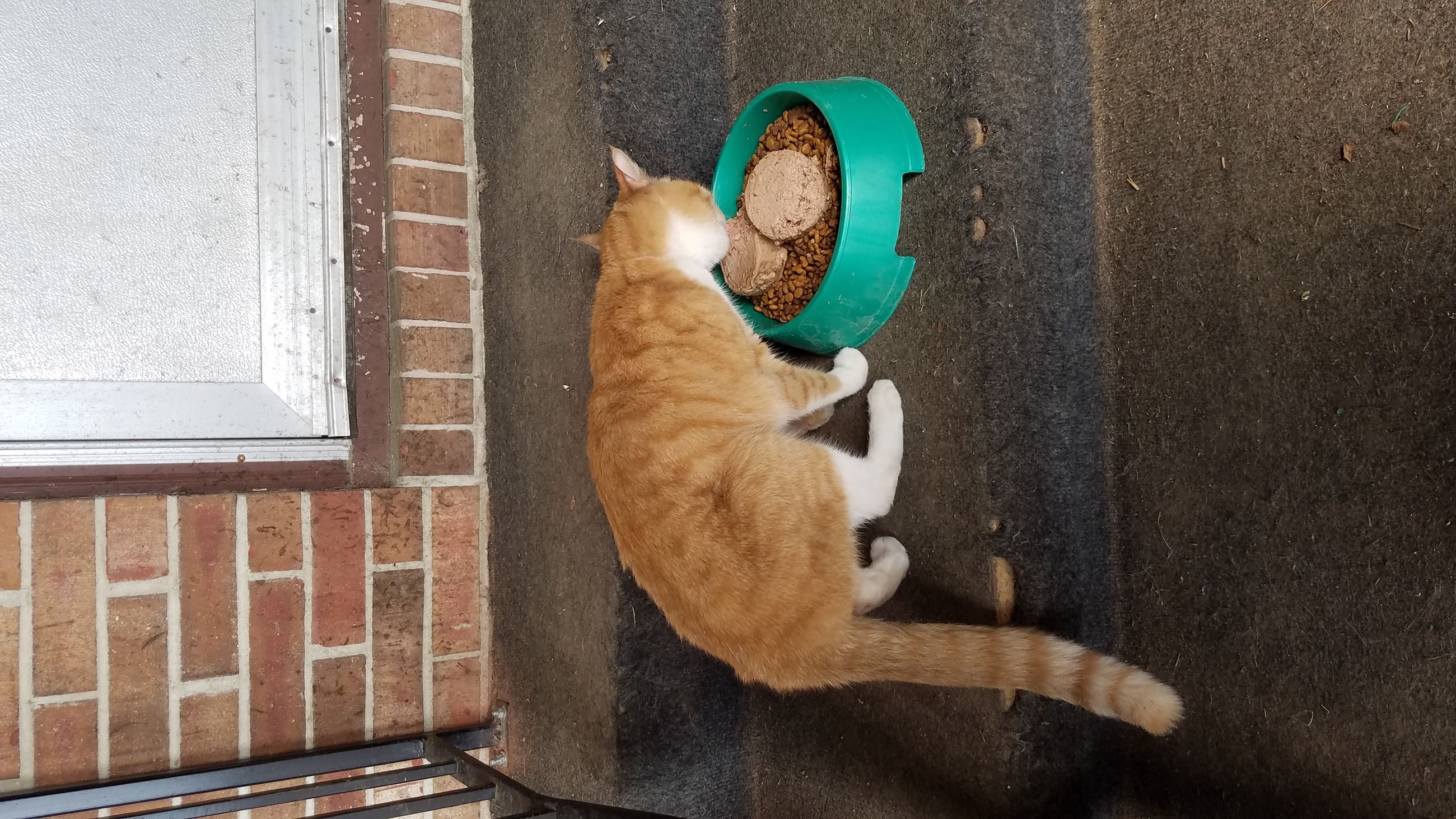 attachments_CO18101000081918489_sazUNFnWRiKf8OMScvhX_20190427_161914