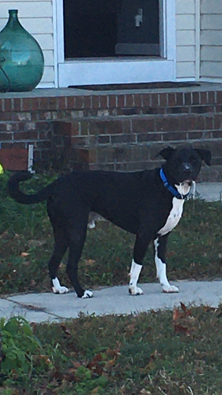 attachments_CO18091000073661396_fd3dbMwvRNSceNA0jblu_DB813D9C-EADF-449E-A514-6D6740D60076