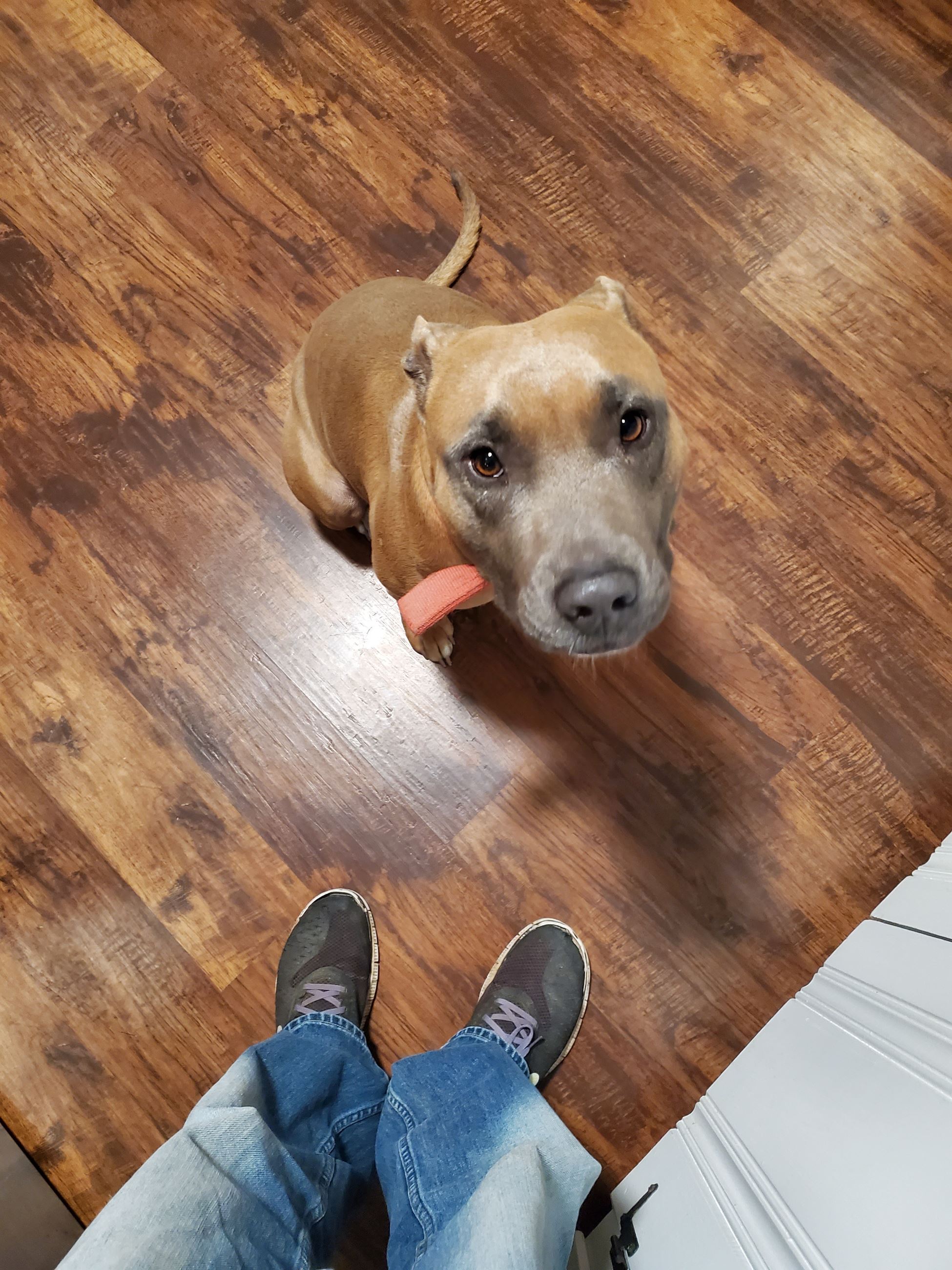 foundcentralheightsrd