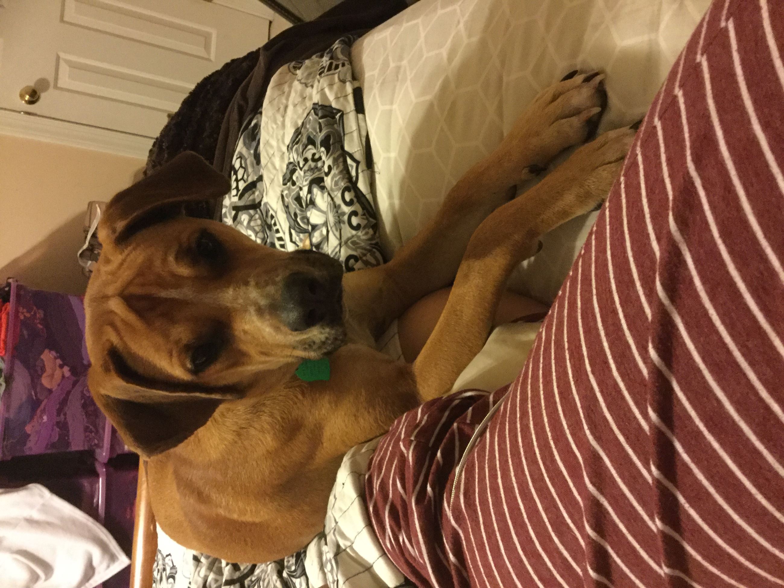 cresstwoodsubdivison