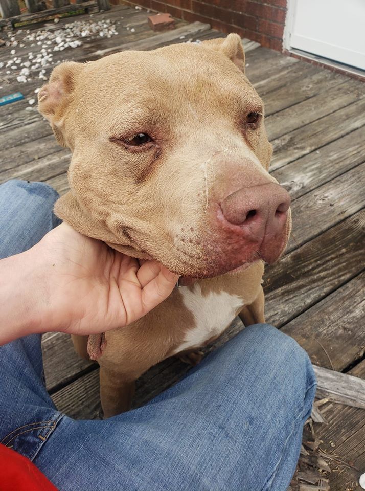 found berkeley and new hope