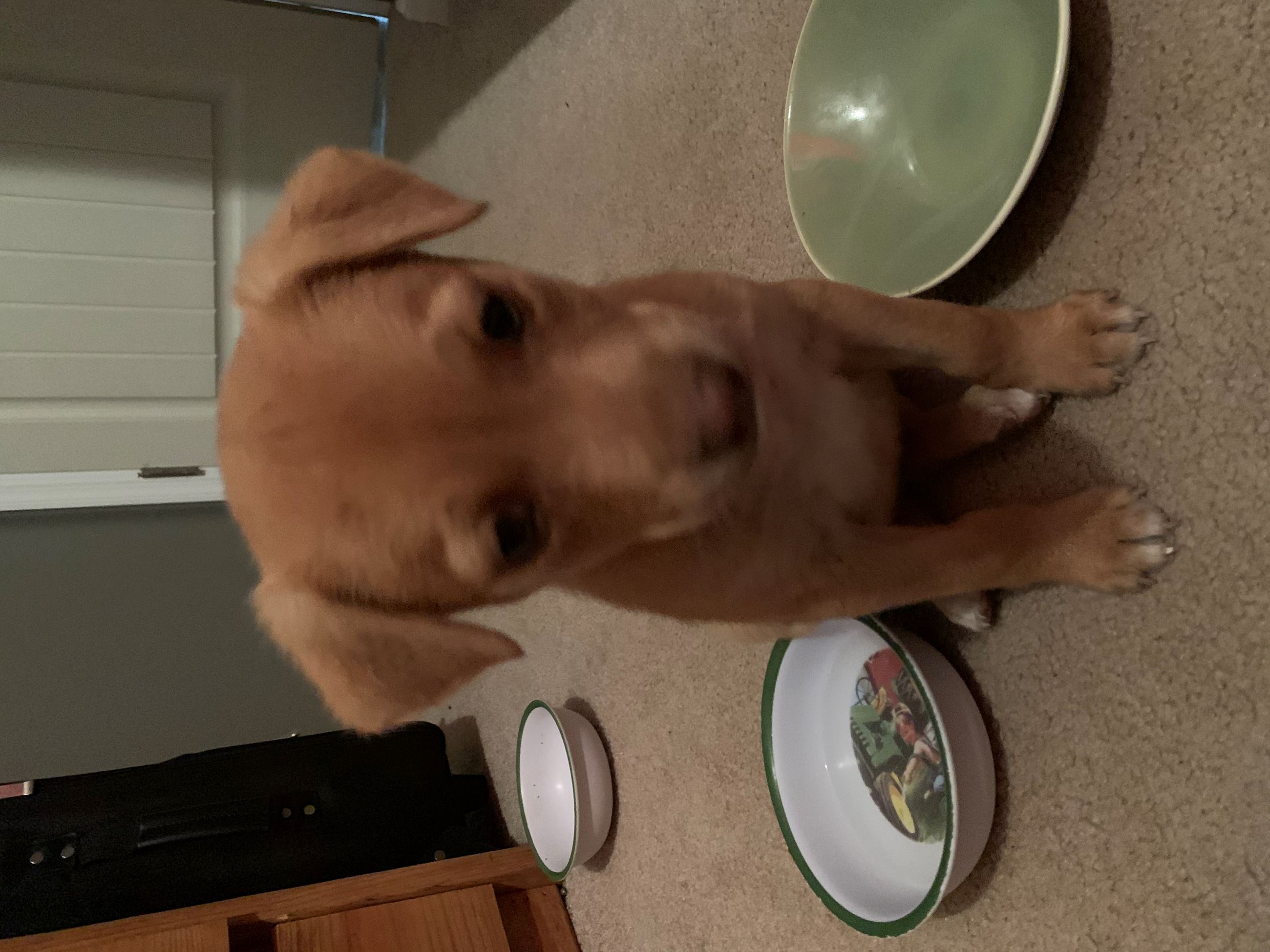 found 117 near school