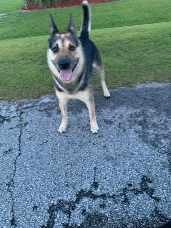 Found woodcroft Sub June