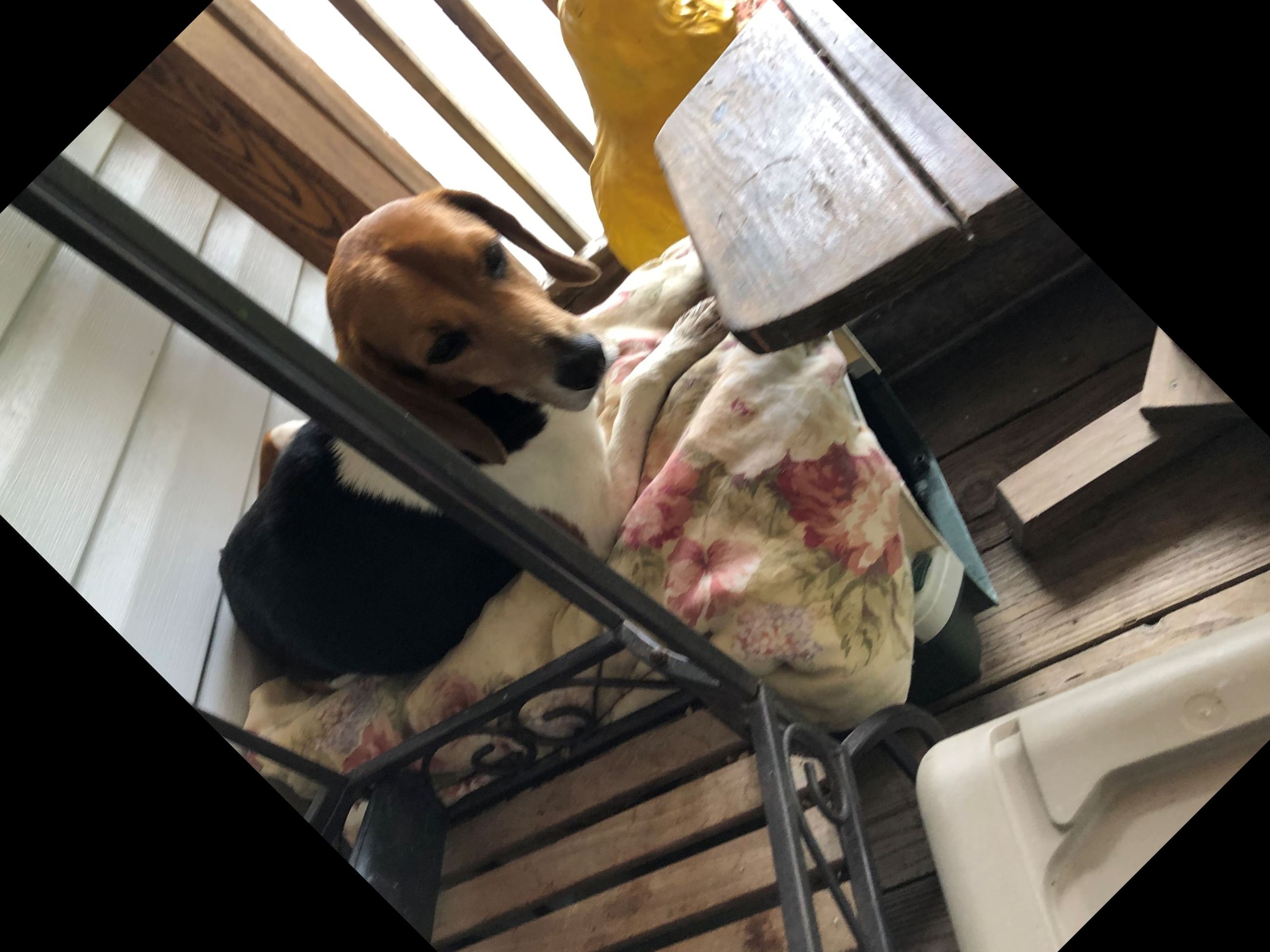 Found Indian Springs road