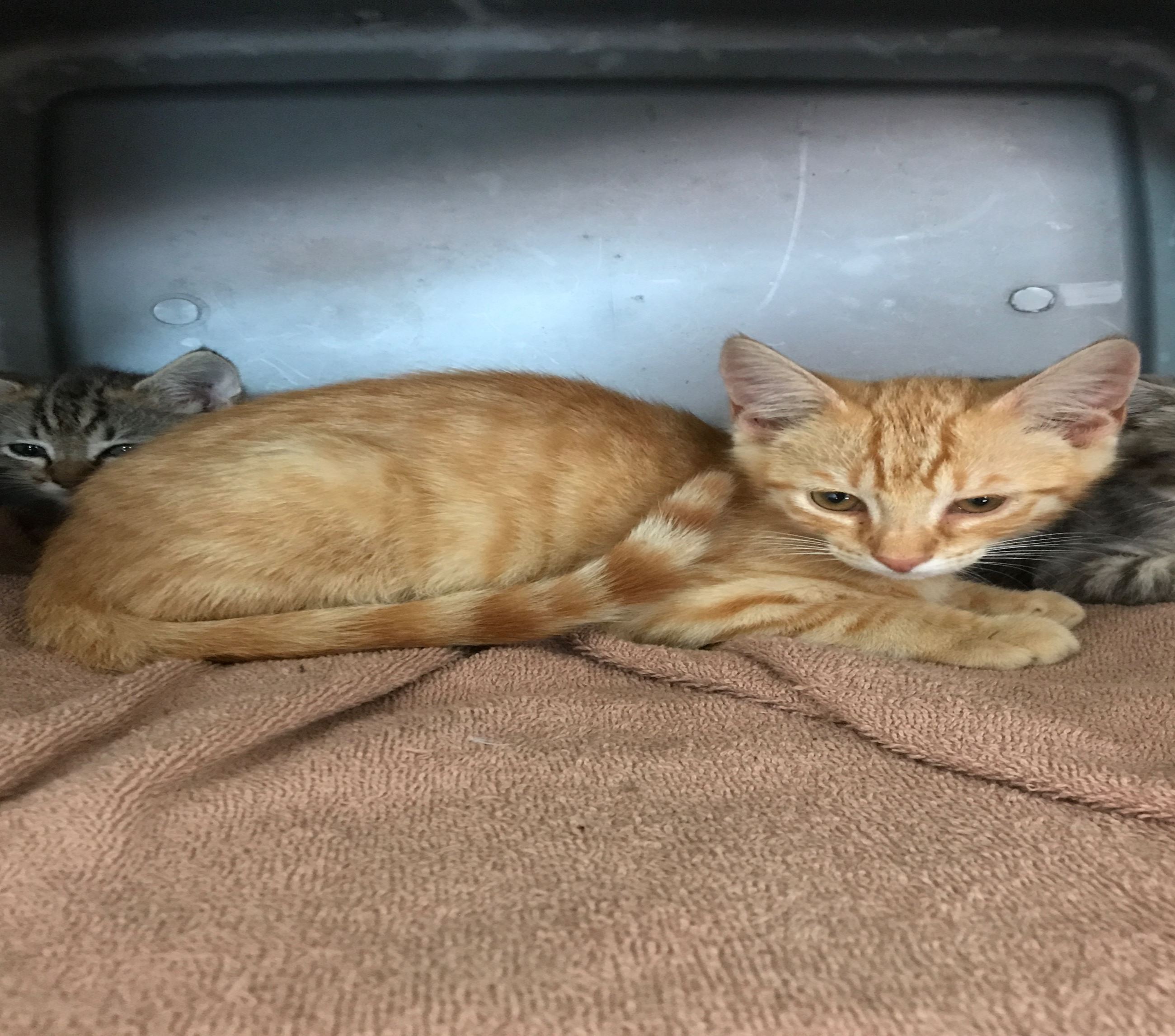 FOund behind teroros