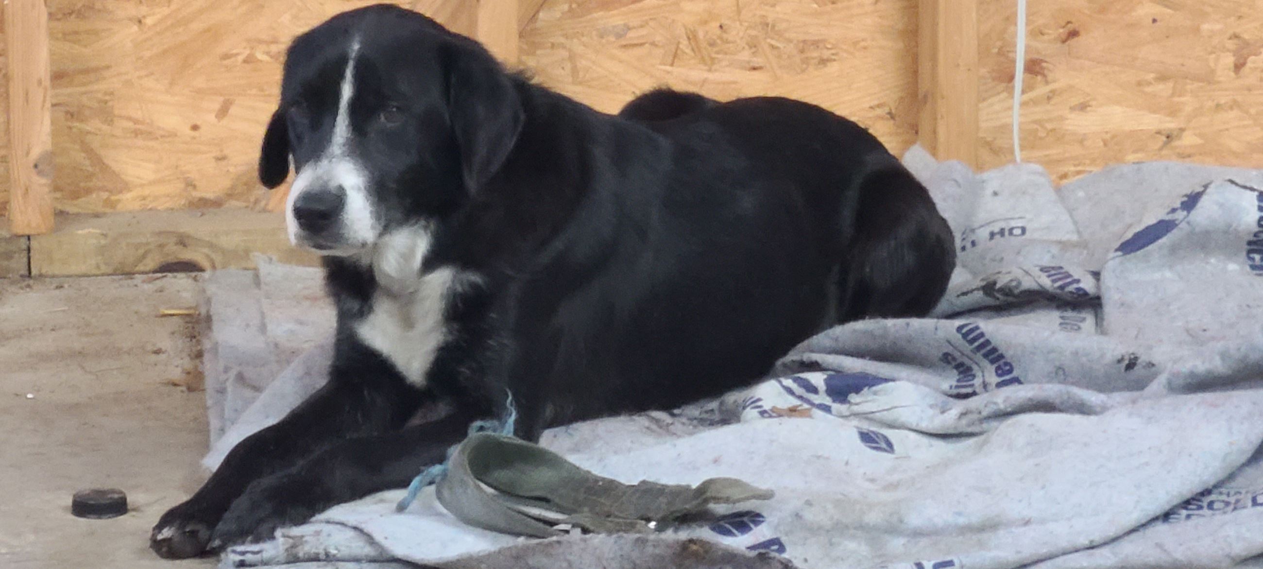 CO18101000081918489_Pn59qDDzTTe5yZwNLddS_16104887128185200251112470440717