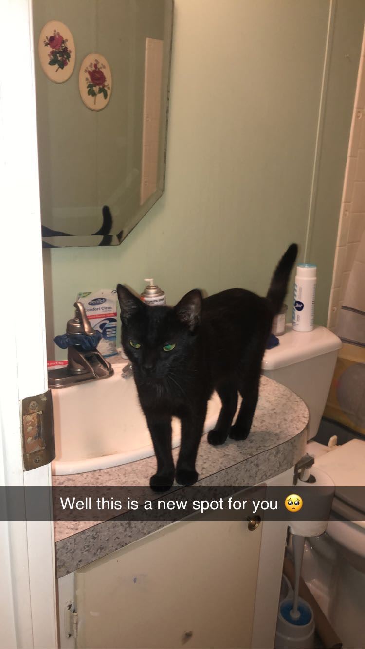 CO18091000073661396_QjToQ5IjSPGOtGyit3We_C635E17E-6F58-407D-BE9A-82696CE7F484