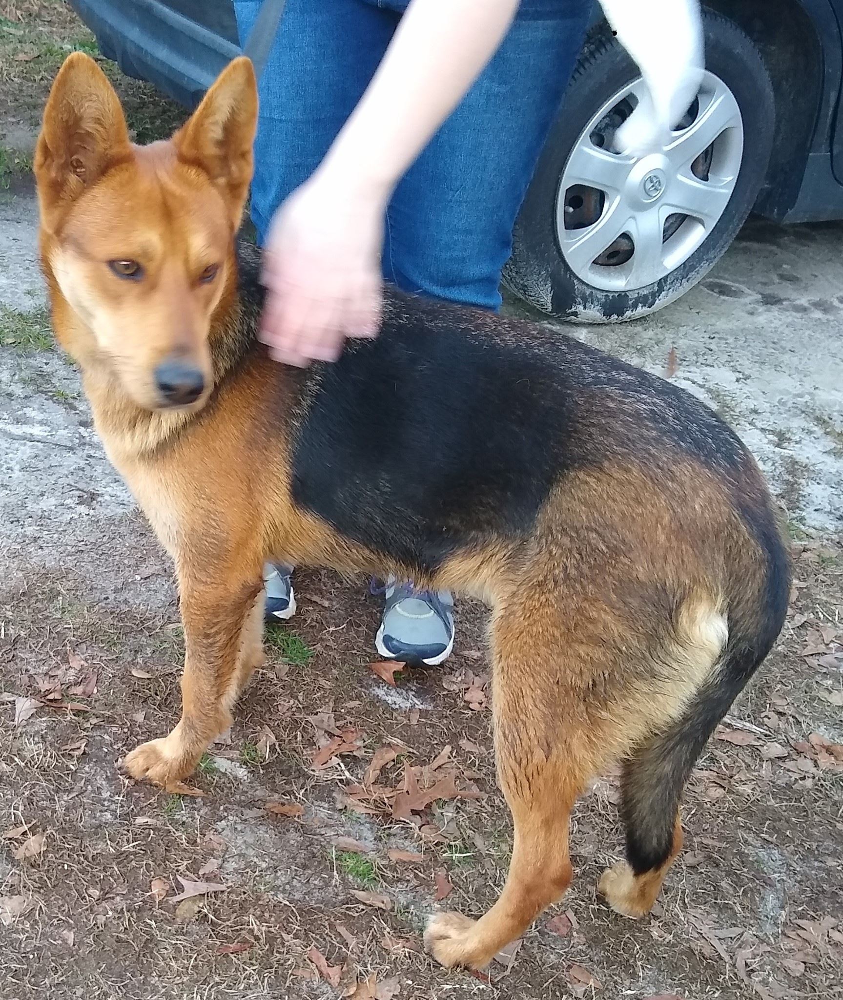 CO18101000081918489_zJYGQPVSu2PxbMShO4CD_GSD1