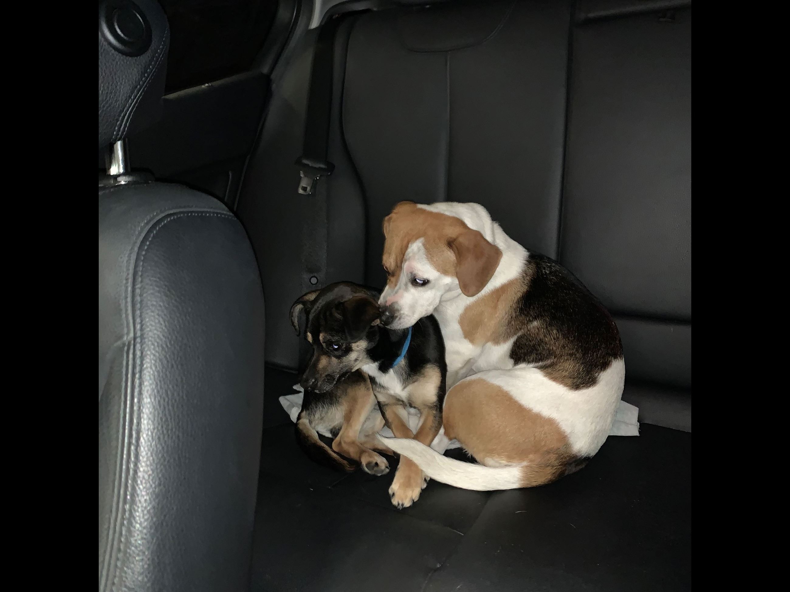 CO18101000081918489_VIqTIsLmRreJeDAkHqdL_E44BCF9D-C265-48AA-9146-F8FA65A1F57F