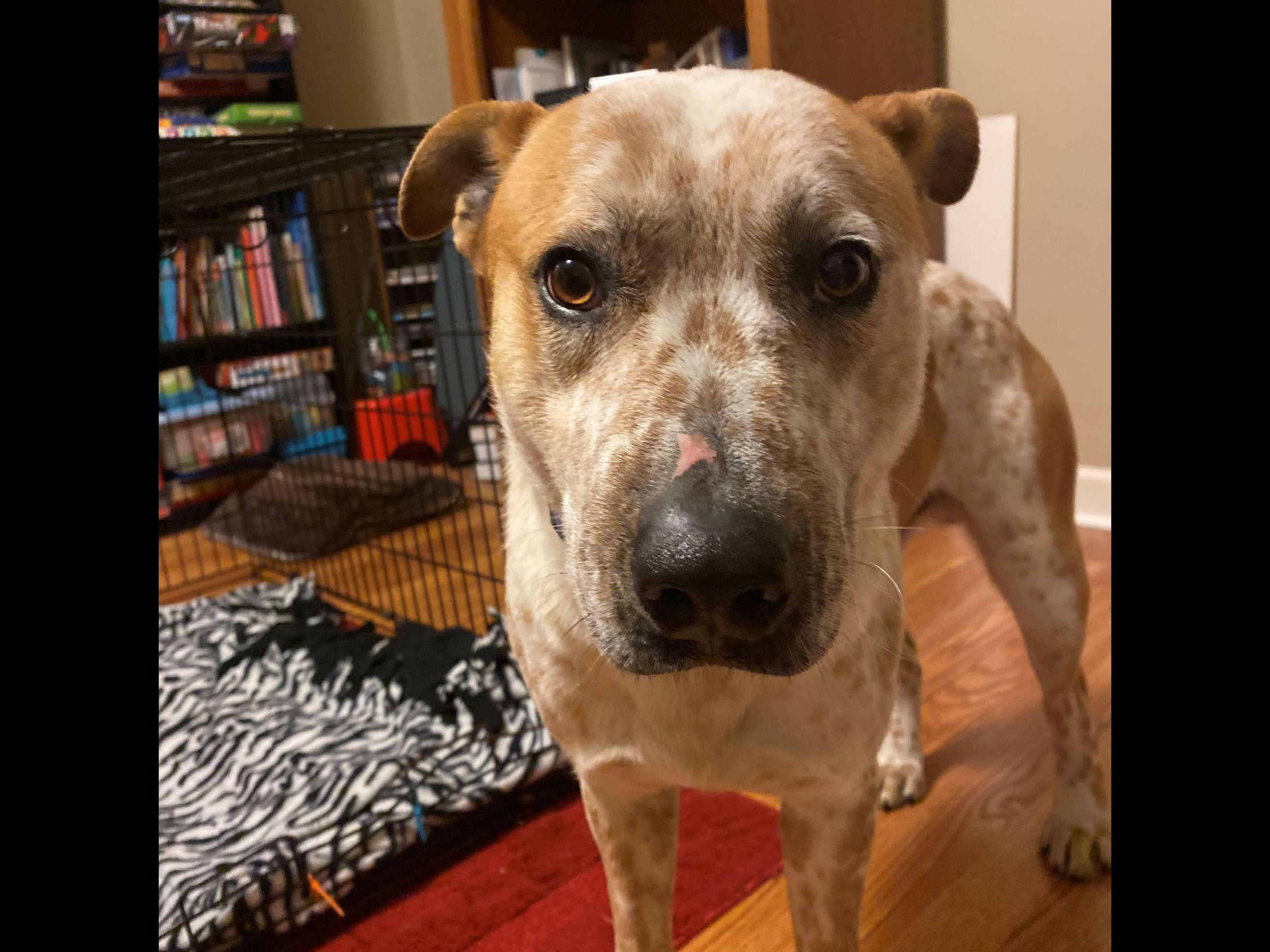 CO18101000081918489_WTGoqzzQa9OOblnhiPkw_8D538E5A-2470-4C0B-9653-FB115C76A92F