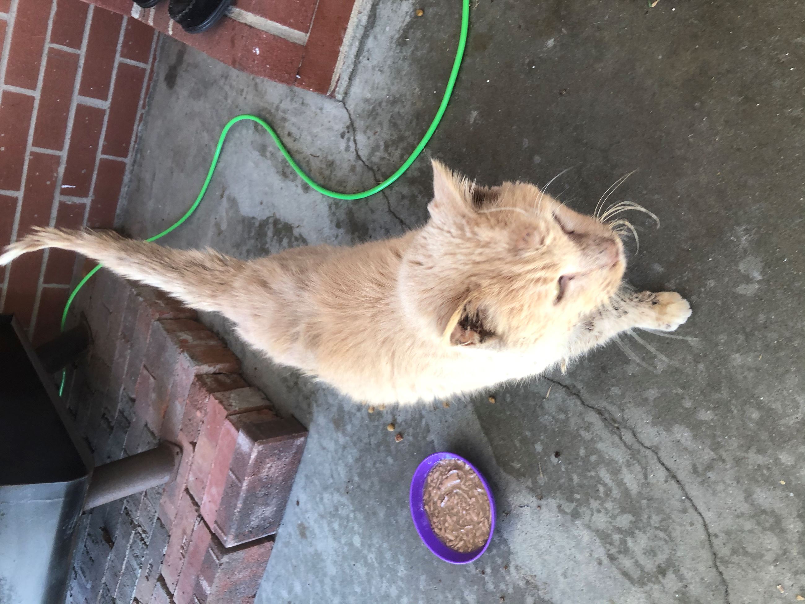 CO18101000081918489_lVRq27RjSmOitTdq5TNT_292291CC-21D7-4F6A-9539-BF03258D460D