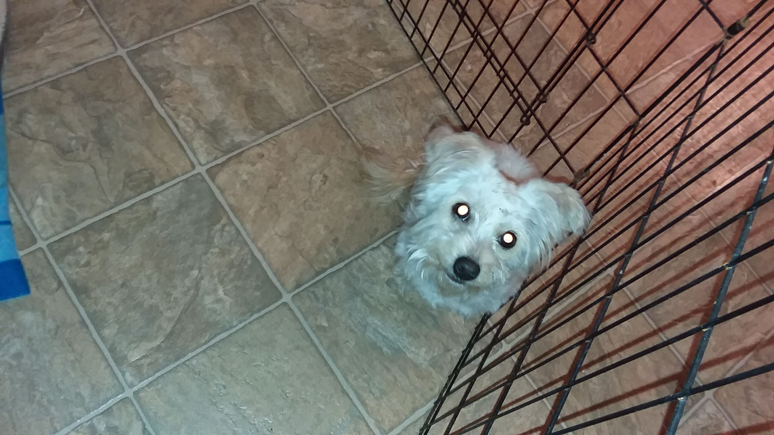 CO18101000081918489_3ozyjWXoSJuyfCmXmpHD_Andy