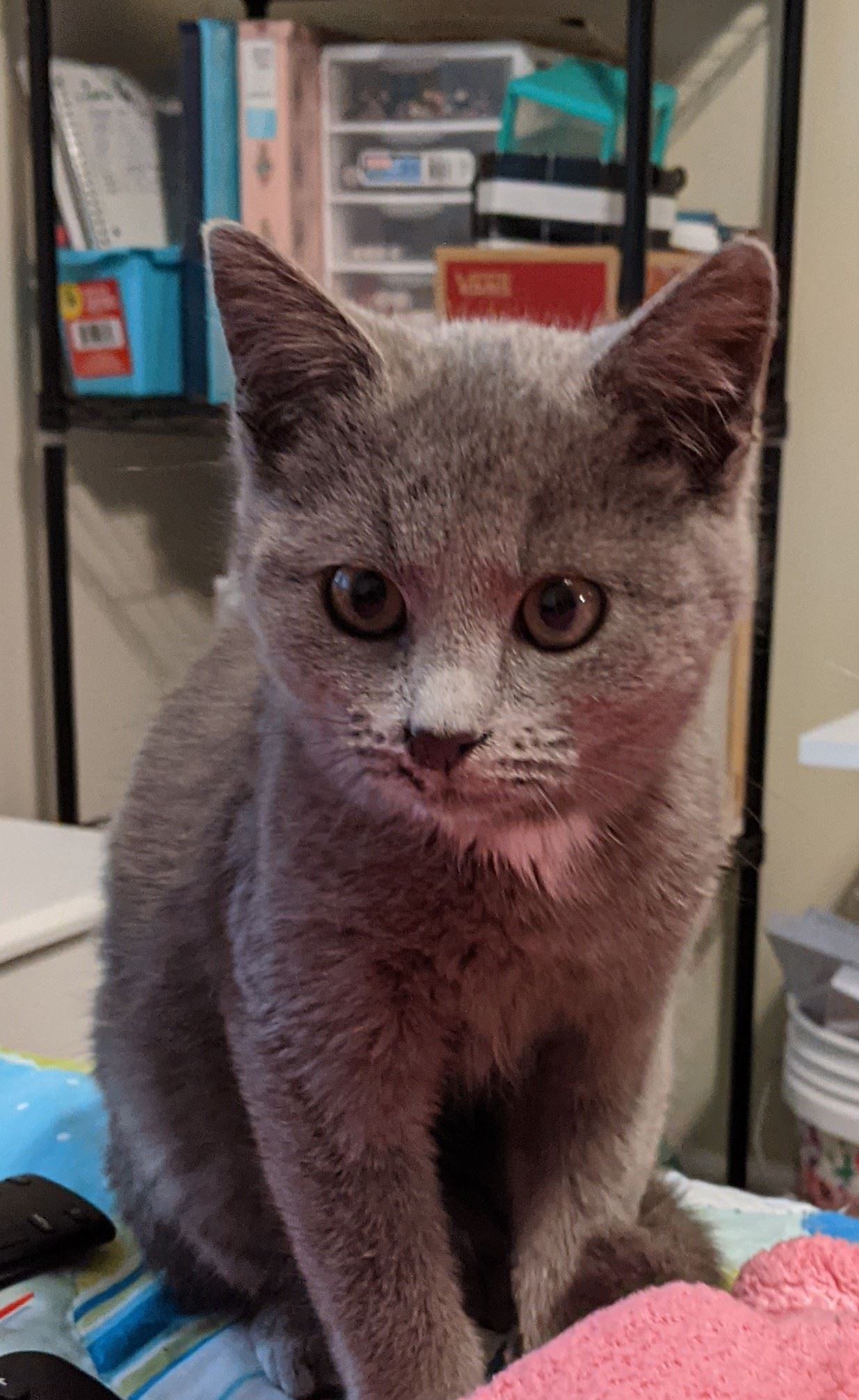 CO18101000081918489_dtMwxKPtQhii69olvcd2_PXL_20210208_212422409