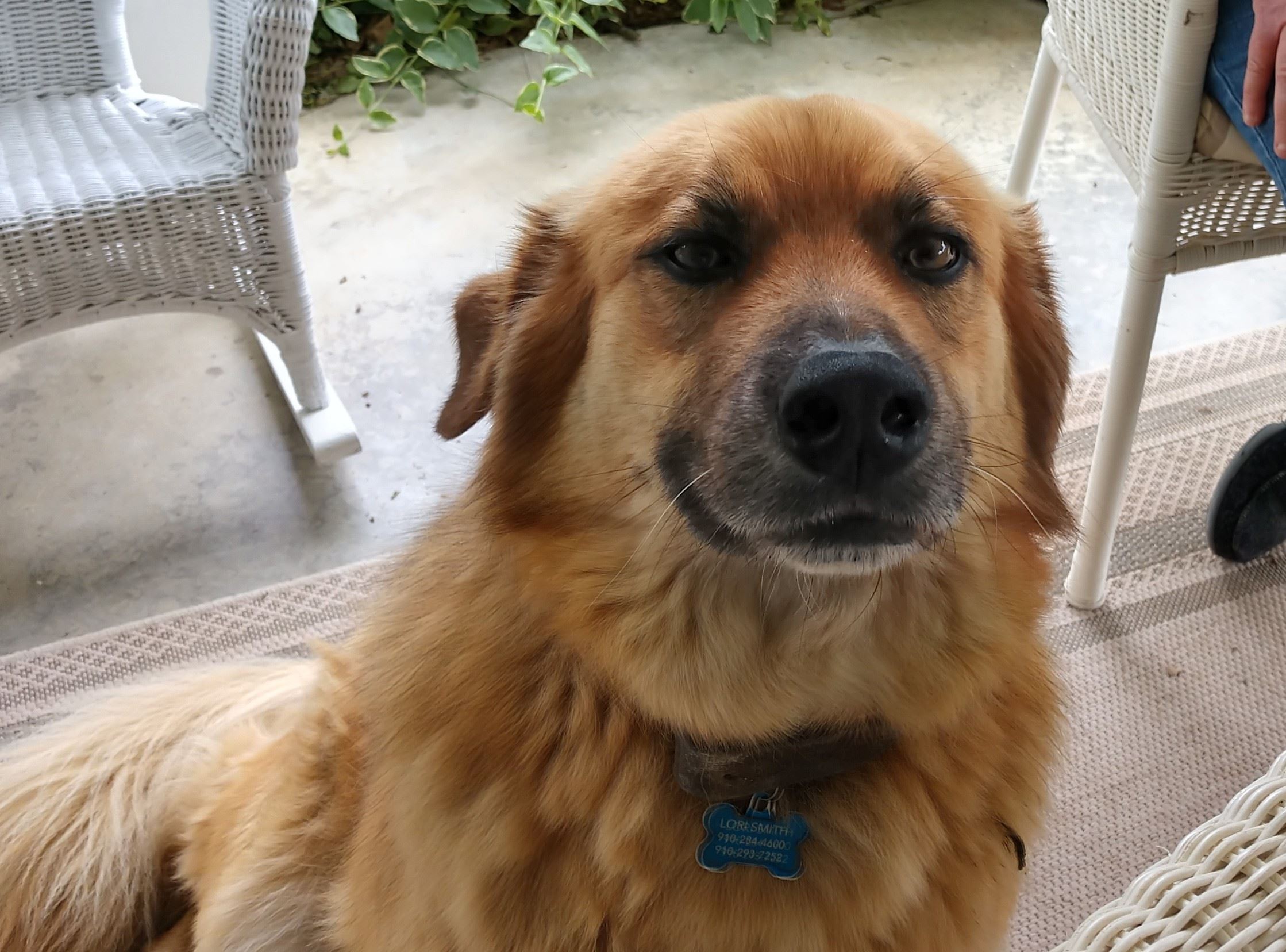 CO18091000073661396_vSkseFSNieSz9INmPzsQ_IMG_20190421_152338182_HDR_2