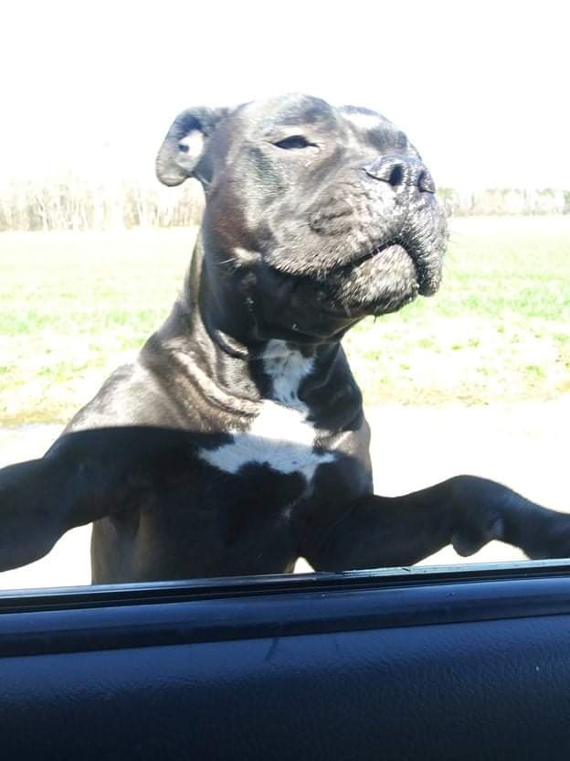 CO18091000073661396_w77ug6C4QKeztx5u2xQk_inbound3738996696928609436