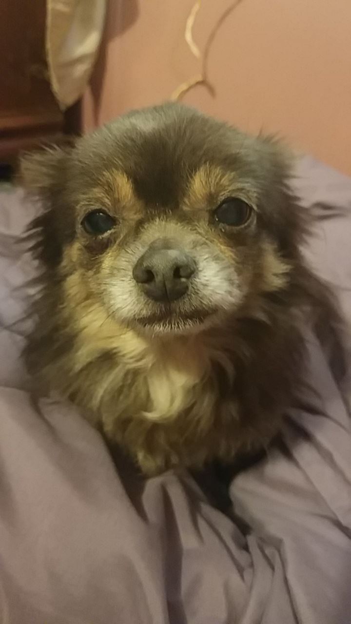 CO18091000073661396_32O1q8h8TWWR3wCFoq2W_Snapchat-1484665672