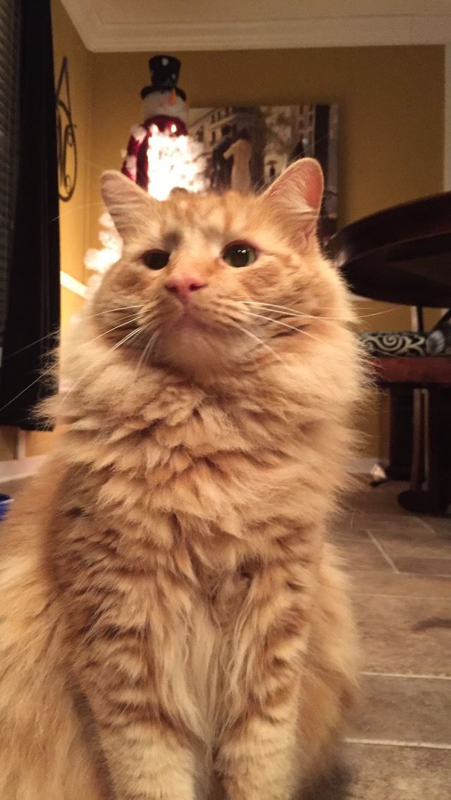 CO18091000073661396_zn4HGARQUigHAzn44E1C_564778BD-28CD-4B1D-B3B3-FB580AE9D6AB