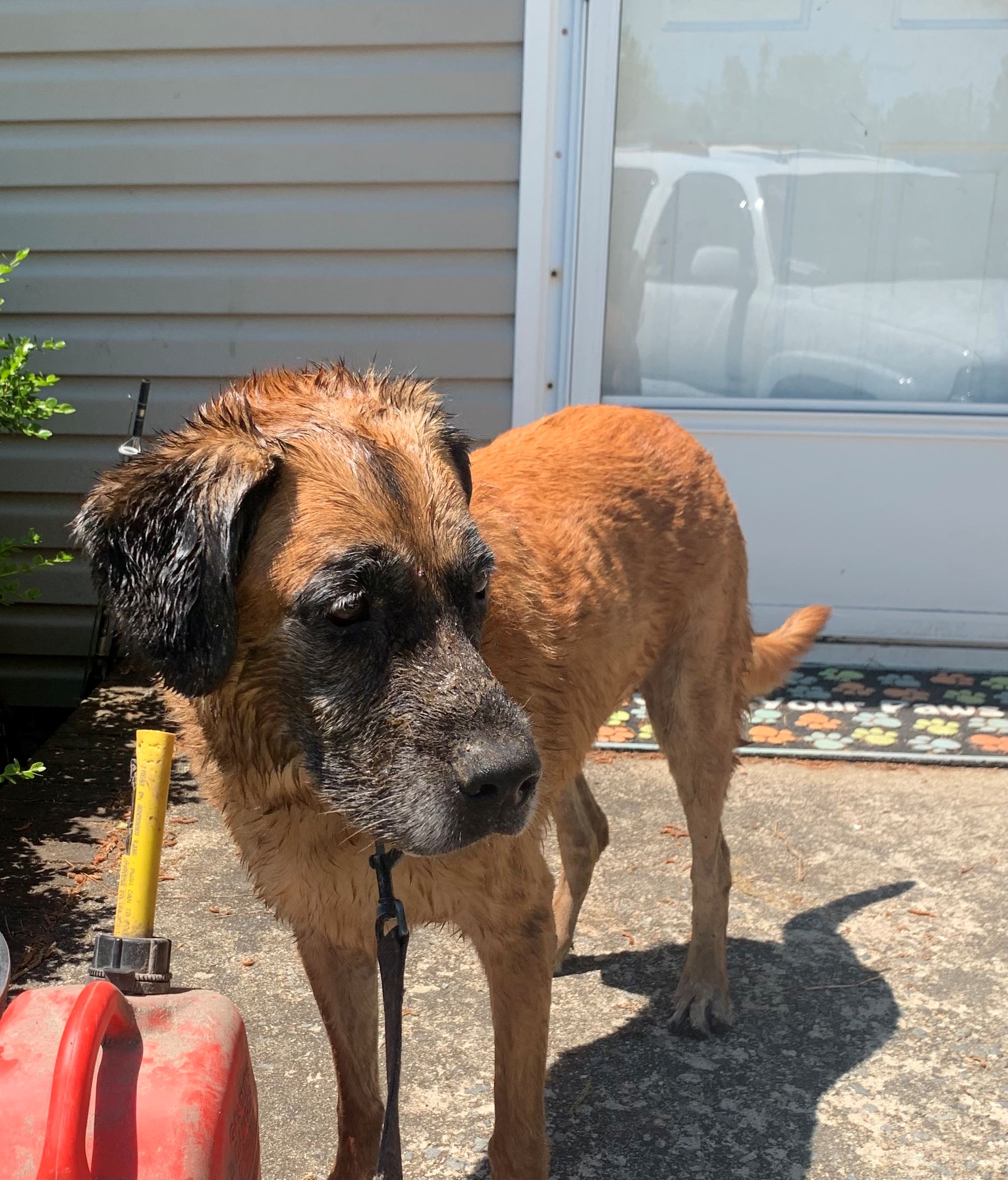 CO18101000081918489_9XIkp46HRGWv50cKJ185_0F6BDD39-61F4-4BDF-A818-3E5FA3F97B1C