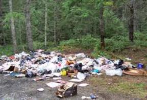 Illegally Dumped Waste in the Woods
