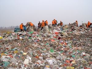 Workers Sifting Through Waste at the Landfill