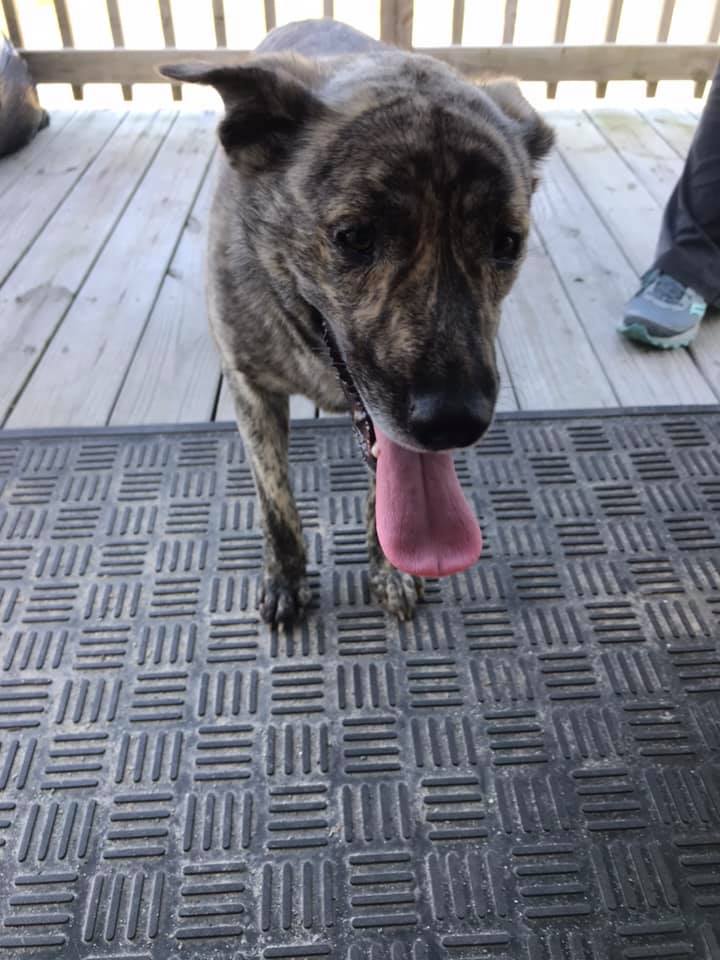 attachments_CO18101000081918489_lk4bkW4SQWuPzbroTDNG_56819054_10211126225390738_3243399116838928384_