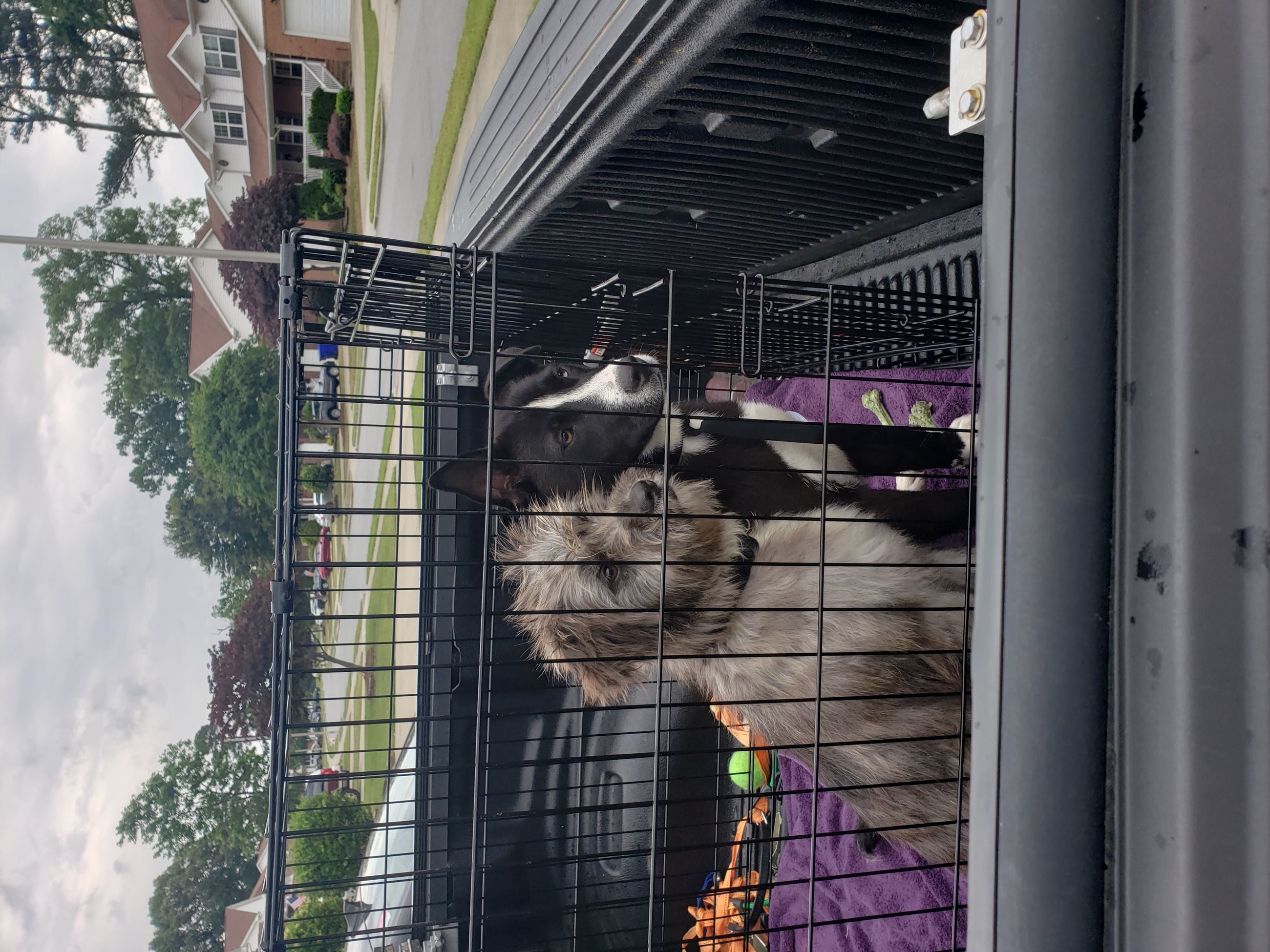 attachments_CO18101000081918489_FkYPIPISvidk7jzBQmGA_20190512_130101