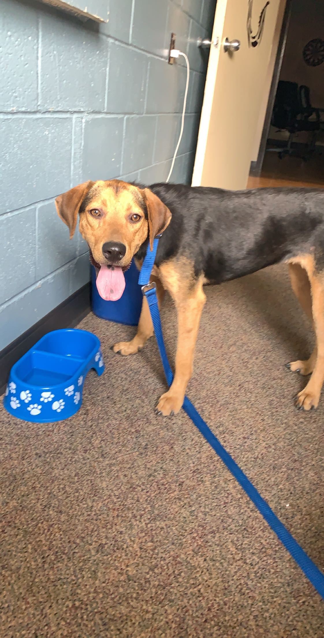 attachments_CO18101000081918489_oXW5tpROms3paeqky73A_C4B037EC-28CD-4CC8-8DA4-FB4176FBCB9B