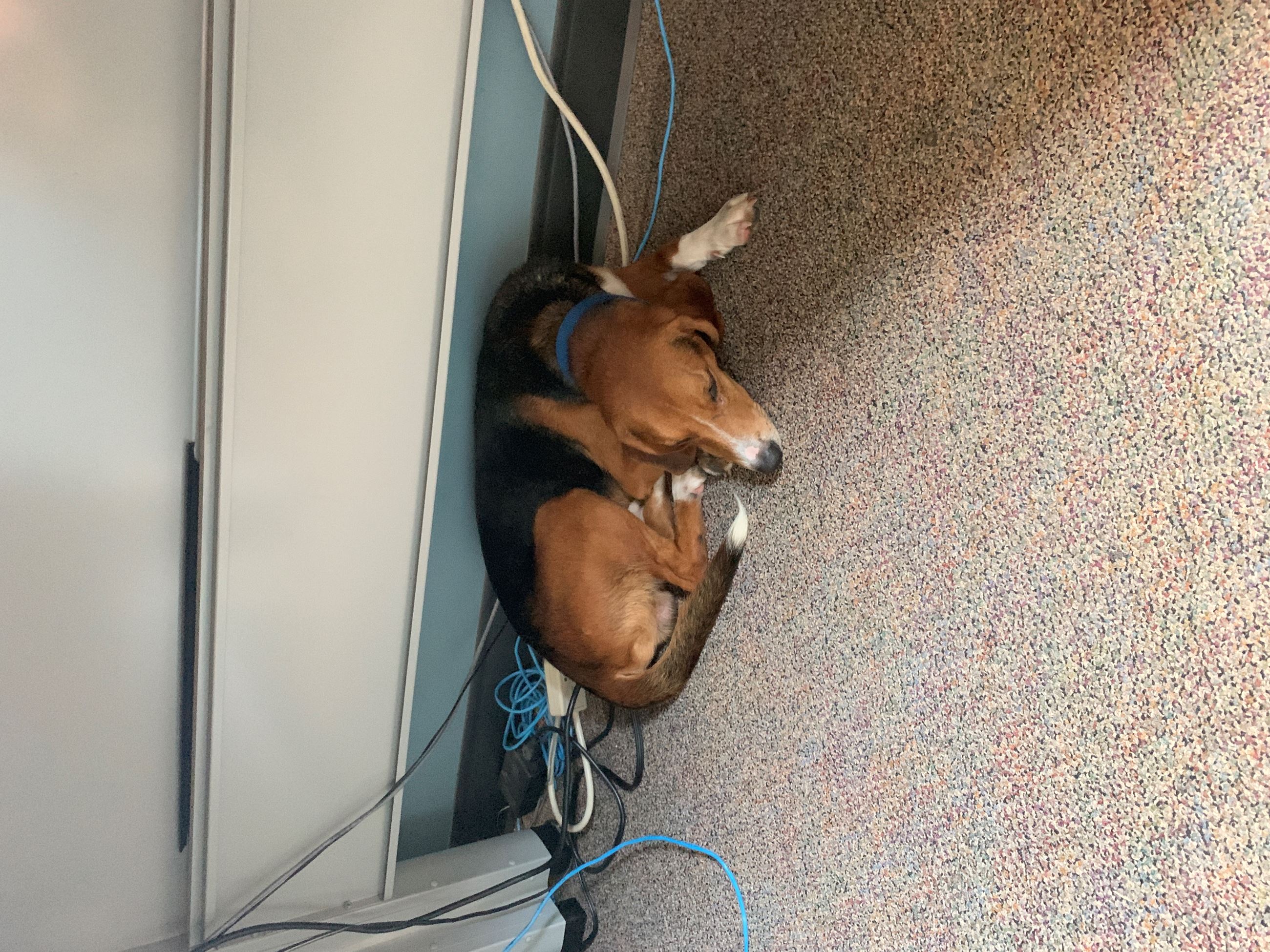 attachments_CO18101000081918489_yISVKyLFQpytZ2FIrdZY_F82CE968-CD97-4435-B0ED-D001711BEB82