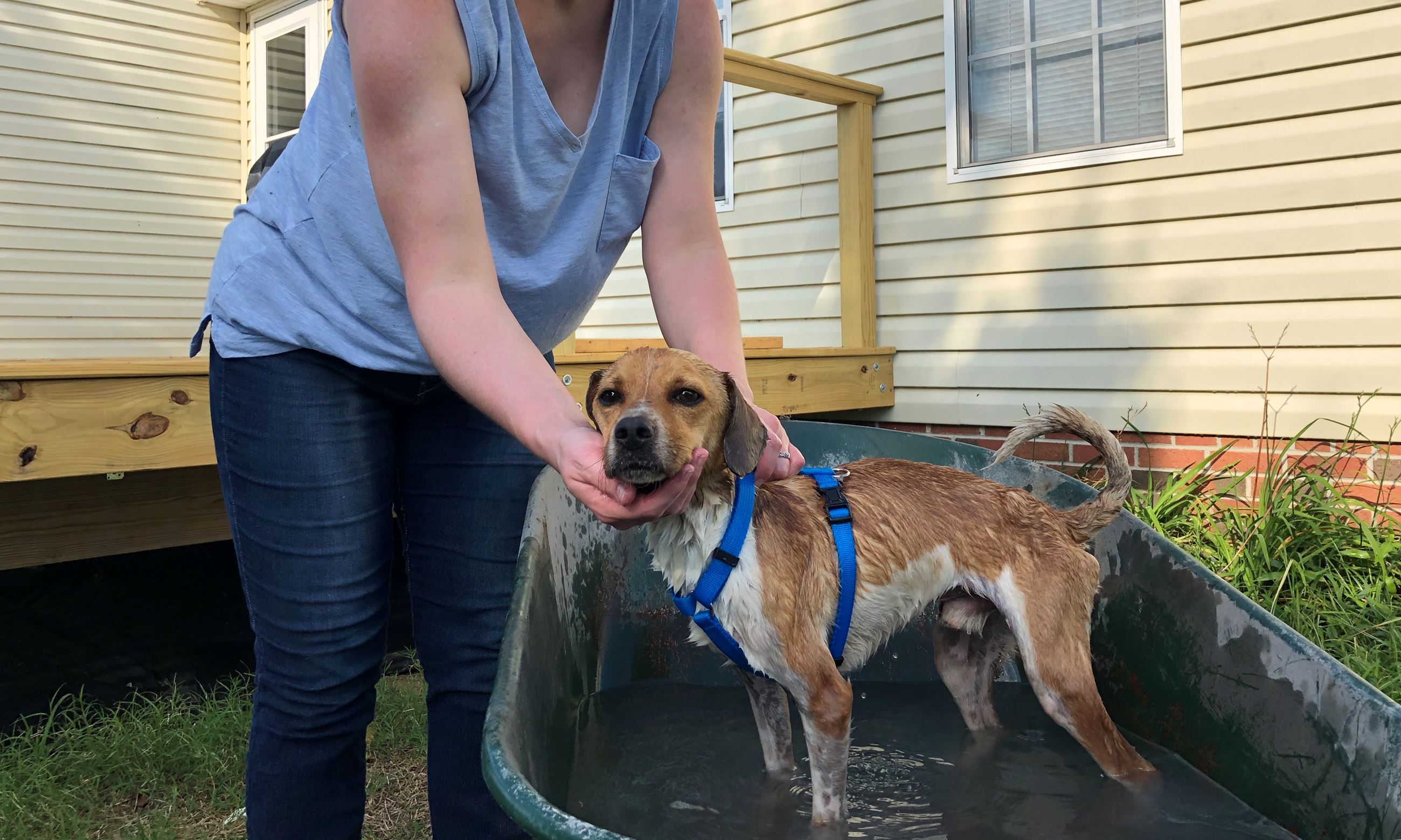 attachments_CO18101000081918489_Do9uB6vXR1Kj5kbPmSup_A3D7C23D-E6BD-43A4-A40E-E070FC25923E