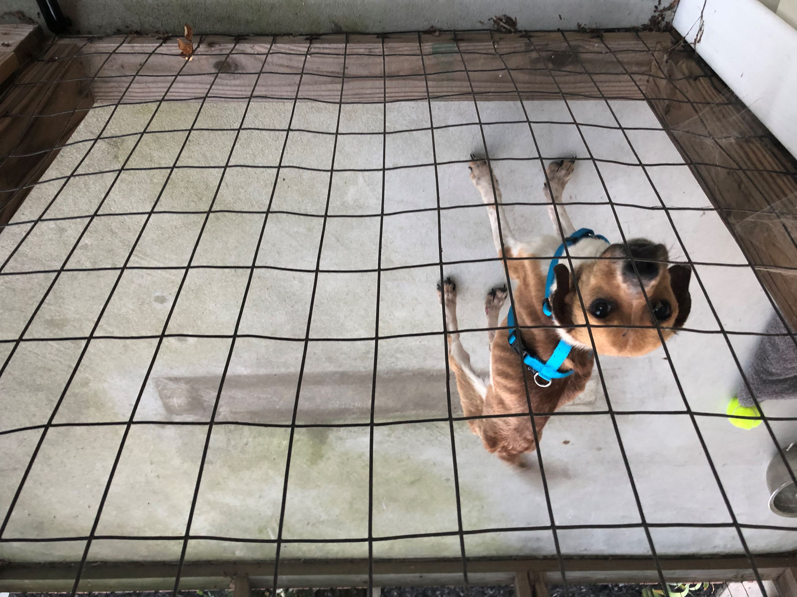 attachments_CO18101000081918489_1AAtujBlSyGMZEgNHU9e_17DB82C1-A0BB-4F85-8E3B-74B62A68B6DC