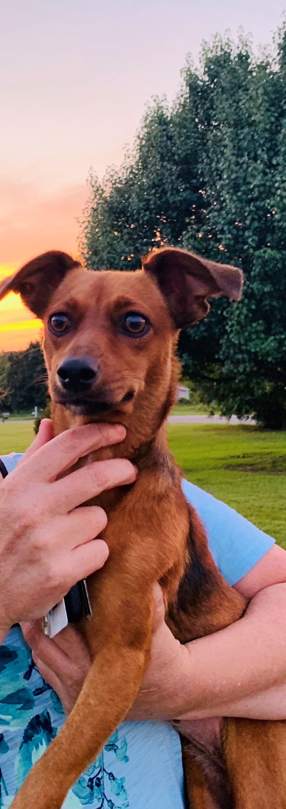 attachments_CO18101000081918489_eYBmgQrmRh2dGs0nlQ5M_340A5E63-C207-4620-9819-A305B313D489